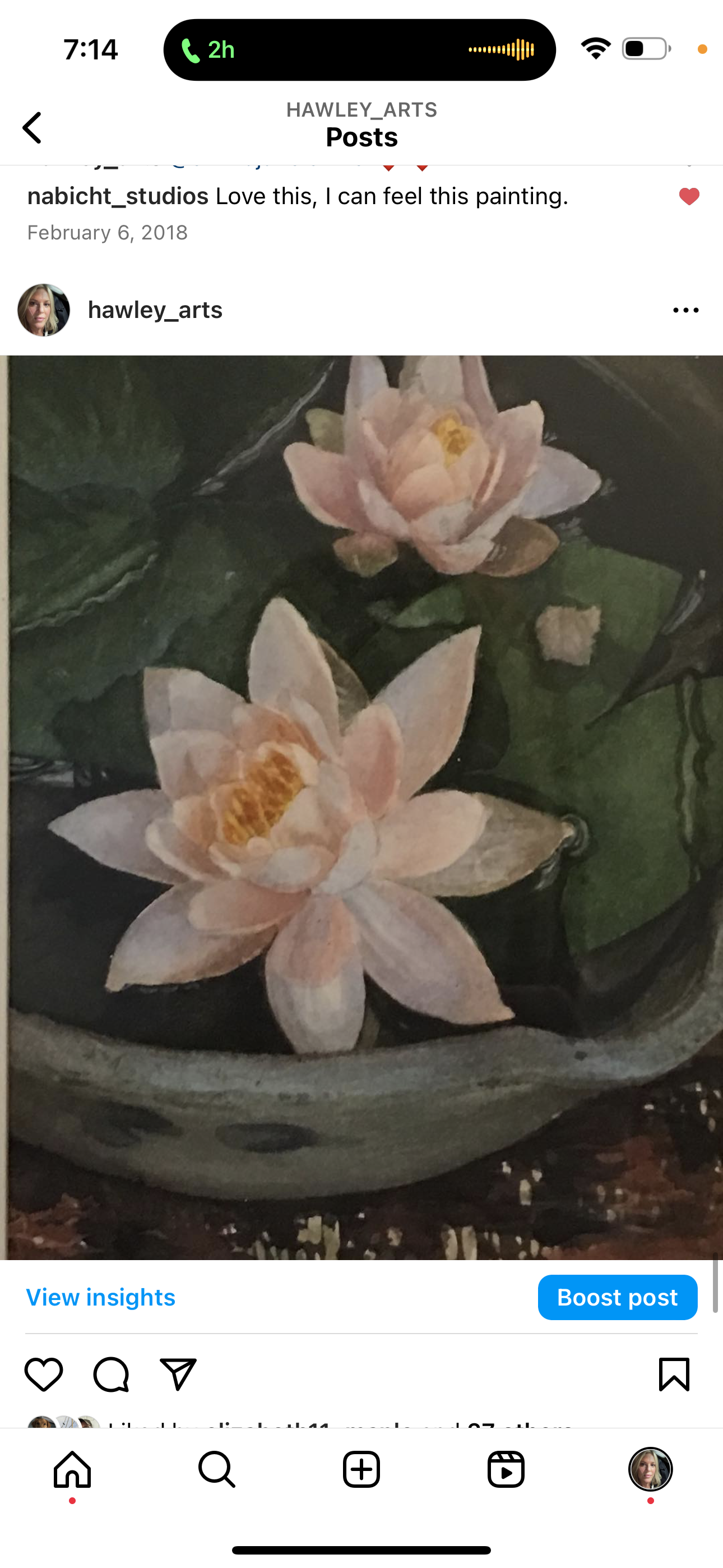 Water lilies in a basin