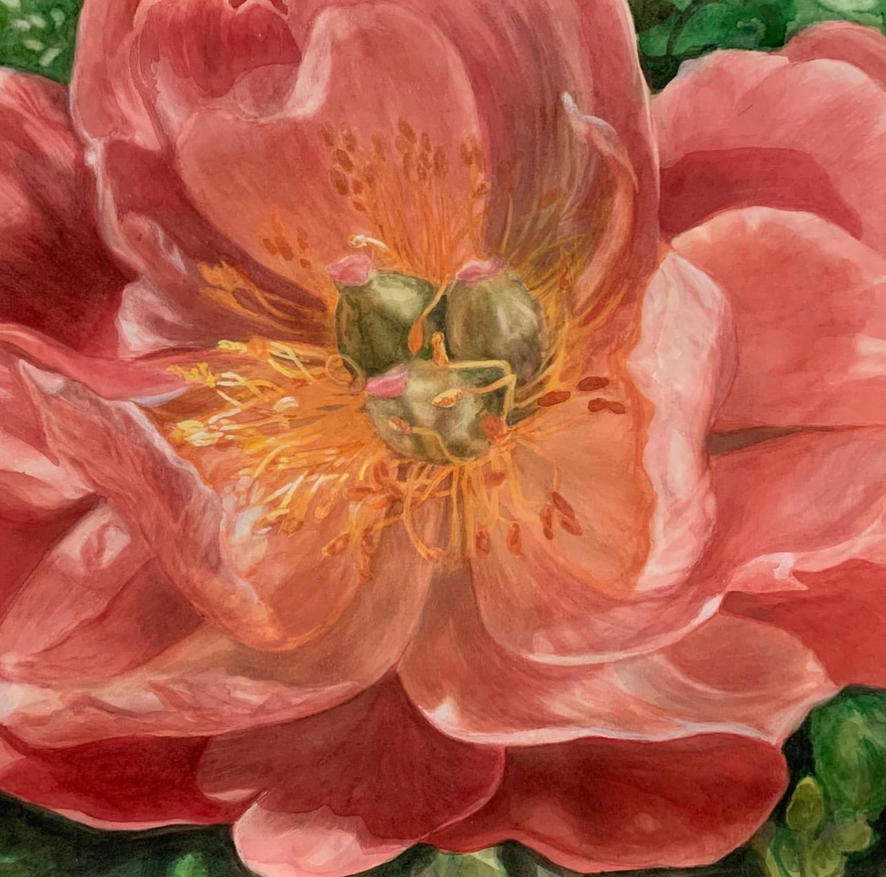 Peony